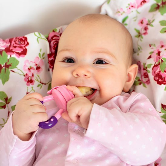 Grignoteuse bébé | Sécuri'Miam - Maman Magnifique