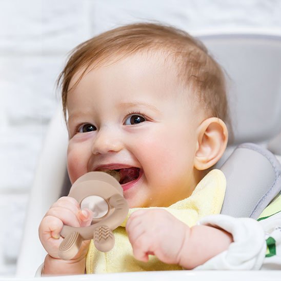 Grignoteuse bebe | Securite Alimentaire - Maman Magnifique