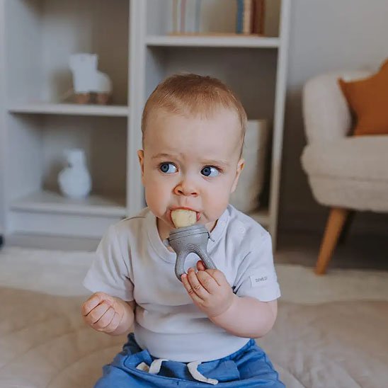 Grignoteuse bebe | Sécurisée Diversification - Maman Magnifique