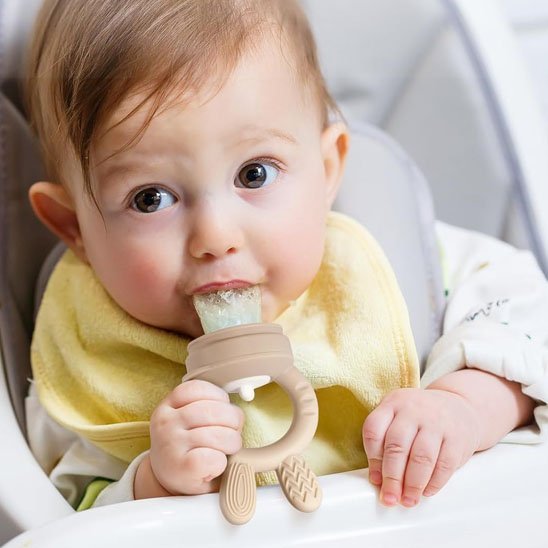 Grignoteuse bebe | Securite Alimentaire - Maman Magnifique